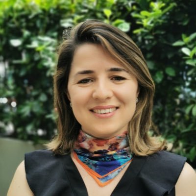Enseignante-Chercheuse HDR au Cnam sécurité vaccinale santé travail prévention des risques
