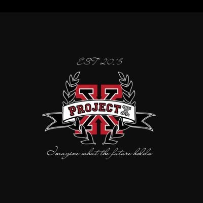 ProjectX_NPO's profile picture. a non profit organisation aimed at helping scholars achieve their academic best