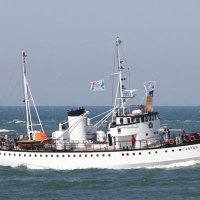 Berend Blokzijl (@blokzijl_berend) 's Twitter Profile