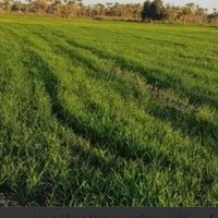 Ahmed (@ahmed32537630) Twitter profile photo