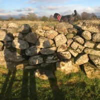Elaine McDevitt (@elainemcdevitt) 's Twitter Profile