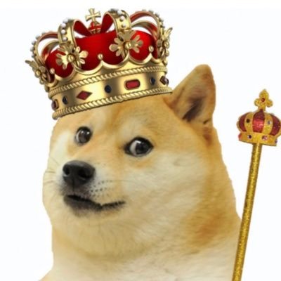 Only doge can save us.