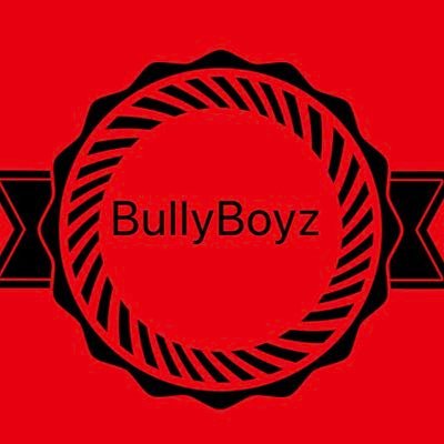 BullyBoyz (DM to get bullied)