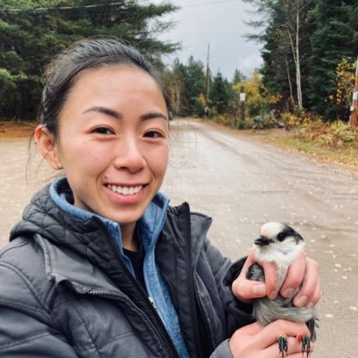 MSc student in Ecology, Norris Lab, University of Guelph | Studying the effect of freeze-thaw events and Canada Jay saliva on cache quality