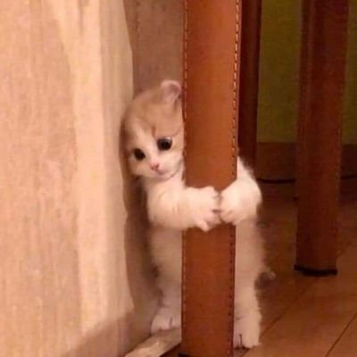 mayrakkan's profile picture. บะลั่กๆๆๆๆๆ