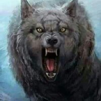 aborad93 (@aborad93) 's Twitter Profile