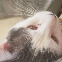Gracielita 🏳️🌈 ♿ (@oldasyouromens) 's Twitter Profile