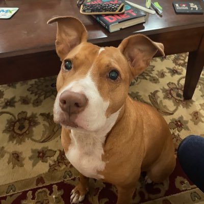 Pittiegirl66 Profile Picture