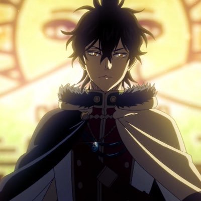 Vice-Captain of the Golden Dawn....that’s it. Asta is My Rival. I’ll be the one to become the Wizard King 👑. Prince of the Spade Kingdom♠️