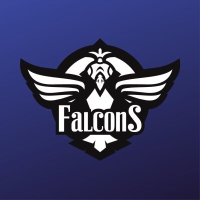 The official Twitter profile of Danish Esports Organization, Falcons Esport.