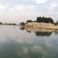 قصايد (@vu9p8pawfh2piva) Twitter profile photo