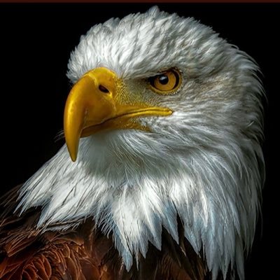 PancheriRex's profile picture. 