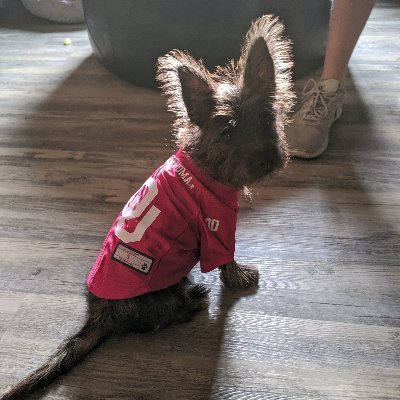 Mateo_1220's profile picture. Video Game Producer. Lead Producer for Aether Studios.