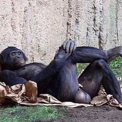 gradual2sudden's profile picture. 