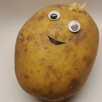 boz_beat's profile picture. 