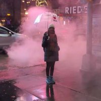 Nancy Salinas 🍤 (@salinasnancy) 's Twitter Profile