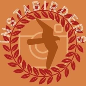 We are a UK based team of young bird watchers birding around the country, taking part in events and enjoying nature.