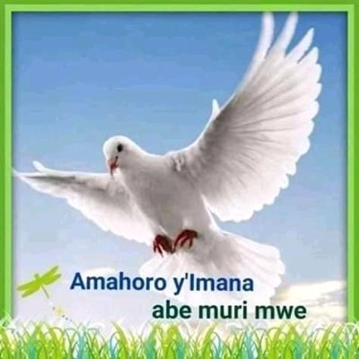 niiiKibamba's profile picture. happiness