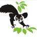 Duke Lemur Center (@DukeLemurCenter) Twitter profile photo