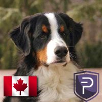 Eric Stanek 🇨🇦 (@eric_stanek) 's Twitter Profile