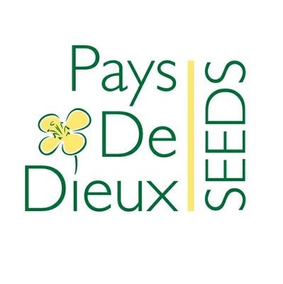 PaysDeDieuxSeed's profile picture. St Front & Area Pioneer Sales Rep