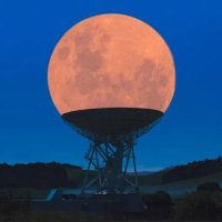 EverywhereSOMETIMES (@allspacesfilled) 's Twitter Profile