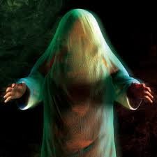 bool_'s profile picture. ●Poemcore/ポエムコア
●POEM CORE TOKYO
●Virgin Babylon Records

mail: poemcoretokyo@gmail.com