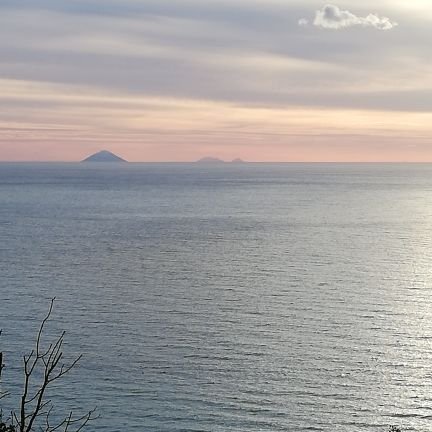 gitopoli's profile picture. 