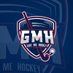 Give Me Hockey (@hockeyind) Twitter profile photo