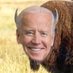 Joe Bison (@99percentmeal) Twitter profile photo Joe Bison (@99percentmeal) Twitter profile photo