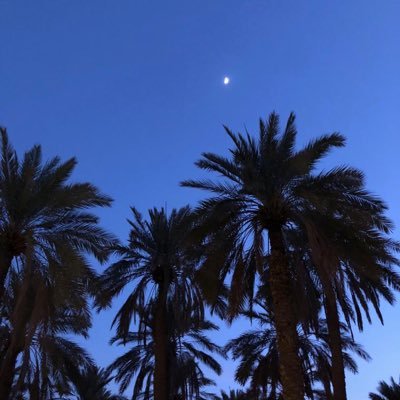 yedpg's profile picture.