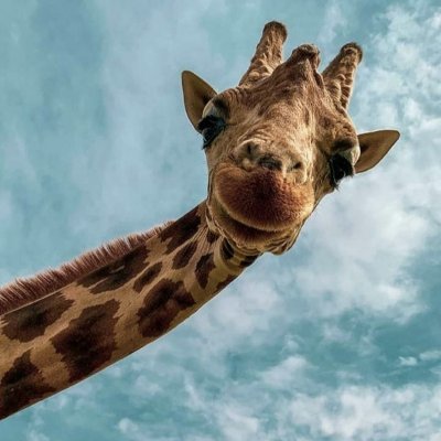 hold_randy's profile picture. Emotional Integrative Hypnotherapist helping clients heal by connecting them to their hearts.