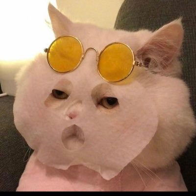 kratz_dich's profile picture. like a cat in the dark and then she is the darkness #eattherich