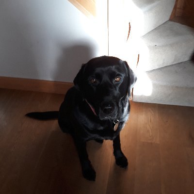 wearenotgoinga1's profile picture. Excluded