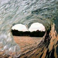 aşk yok abi (@aksyasal) Twitter profile photo