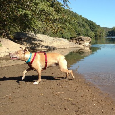 CTesting5891's profile picture. Having fun and sending tweets.