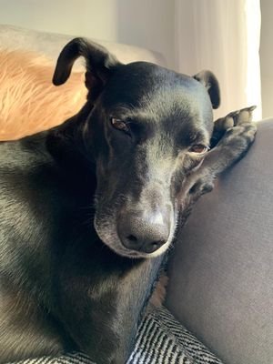 Morito97001641's profile picture. 