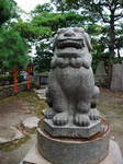 生まれも育ちも稲荷町。狛犬回して一攫千金狙ってます。