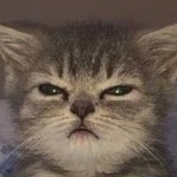 Spicy Bread (@trashatevrygame) 's Twitter Profile
