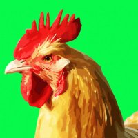 Thepollo π (@xthepollo) 's Twitter Profile