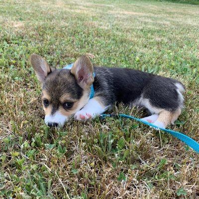 Morg_Higginson's profile picture. 