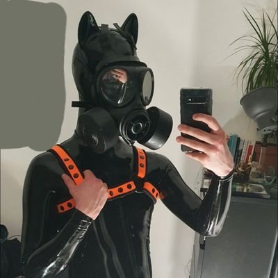 Queer submissive kinkster ⏬ Pro:🏳️‍🌈+🏳️‍⚧️ | 🧡💚Pup Clickey | Find my Discord, Telegram Channel, Twitch & Insta: https://t.co/jx3xU5Y5O9