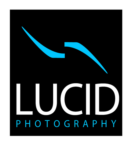LUCIDTORONTO's profile picture. Weddings | Engagements | Toronto Events | Photographer | Instagram @lucidphotostoronto
