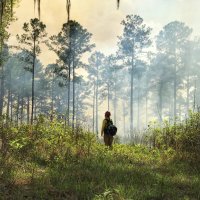 Anchor Point Documentary (@anchorpointdoc1) 's Twitter Profile