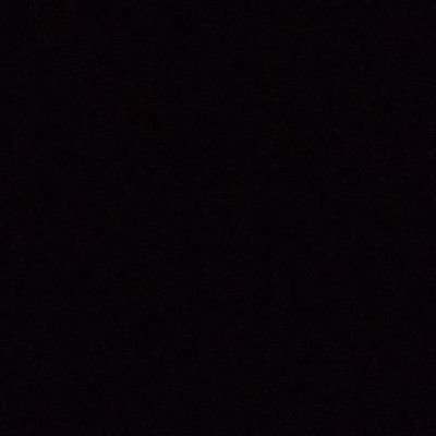 BearTotenkopf's profile picture. Ex-Piloto de  @WSO_FORMULA1 #F18