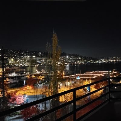 Satcharelli's profile picture. Pursuer of not so common sense.