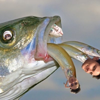 aquatic cryptid. wearied by your malcontent. ♎️♒️♐️ they/them | BLM 🏳️🌈
