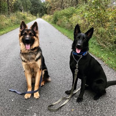 JoshuaFlikkema's profile picture. 