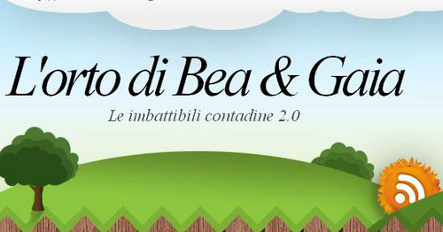 Principianti all'opera nella costruzione di un orto. Segui le avventure delle contadine 2.0. Trucchi e segreti che nascono con l'esperienza