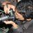 Agus Ismail